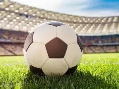 苏见信,岁迎新婚喜,经纪公司正,大发彩票,大发彩票官方平台,大发彩票APP下载,大发彩票开奖结果,大发彩票正规