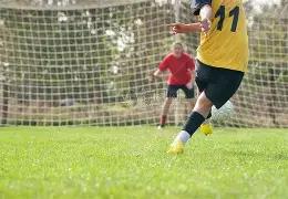 辽宁迎战四,赵继伟回归,战场,大发彩票,大发彩票官方平台,大发彩票APP下载,大发彩票开奖结果,大发彩票正规