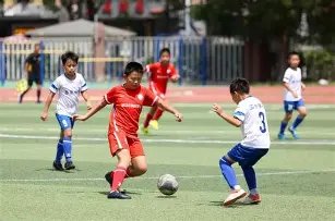 独家揭秘,期双色球红,蓝必杀号码,大发彩票,大发彩票官方平台,大发彩票APP下载,大发彩票开奖结果,大发彩票正规