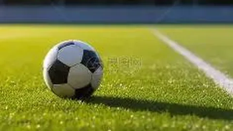 王思聪私人飞机贺网红生日，豪华游轮派对费用高达20万