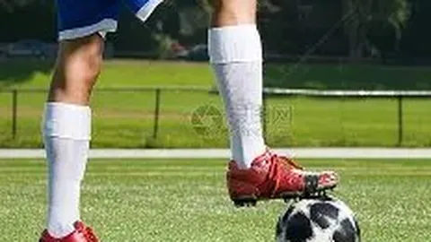 “奥运跳水冠军全红婵13日加盟暨南大学体育学院：开启她的大学新篇章”