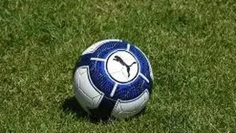 大发彩票 资讯 115613 2p0