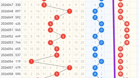 福彩3D第2026066期专家质合分析推荐前区十码选号技巧